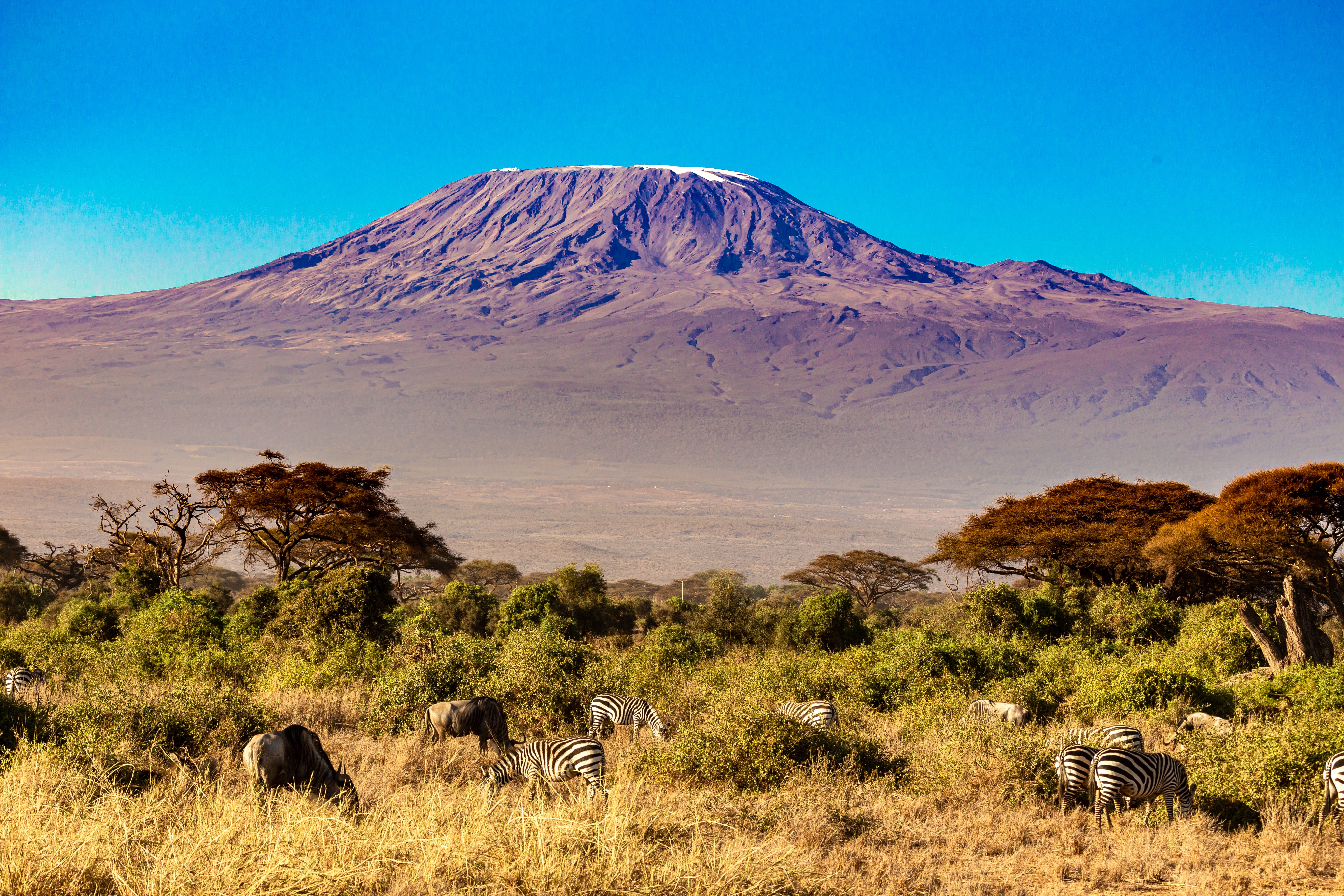 Mountain Kilimanjaro